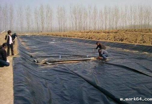 复合体育意甲国际米兰在红旗河工程应用 所向披靡