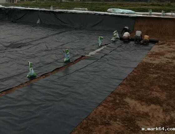 体育意甲国际米兰材料选择几点建议