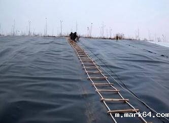 复合体育意甲国际米兰的物理性能有哪些