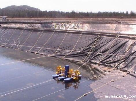 关于鱼塘防渗膜施工方法有哪些您了解吗