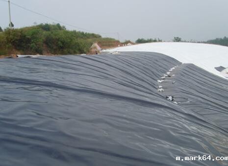 体育意甲国际米兰铺设过程的质量控制
