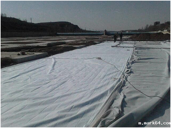 复合体育意甲国际米兰可保障与防渗体之间的衔接性