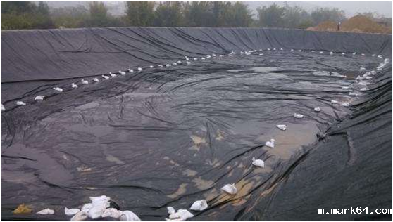 体育意甲国际米兰的拉伸强度与宽度形状约束条件有关