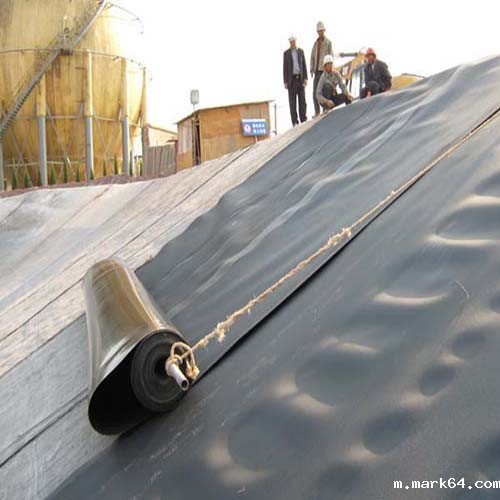 体育意甲国际米兰防渗墙每米坝长可节约预算1000元左右