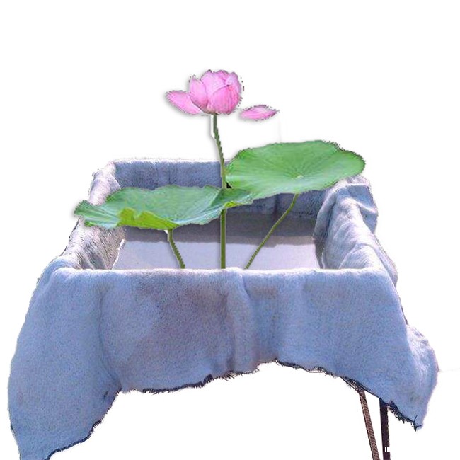 在不同土壤介质内体育意甲国际米兰与混凝土防渗性能比较