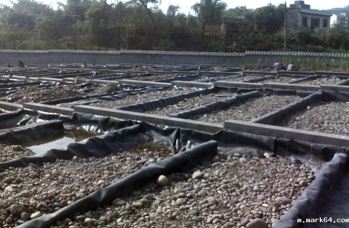 体育意甲国际米兰和防水毯用于鱼塘哪个更占优势