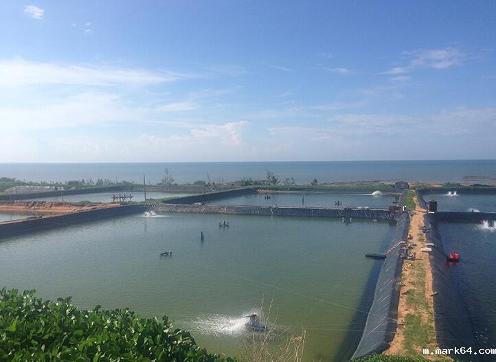 防止垃圾填埋场出现水平渗漏改进的方法和建议