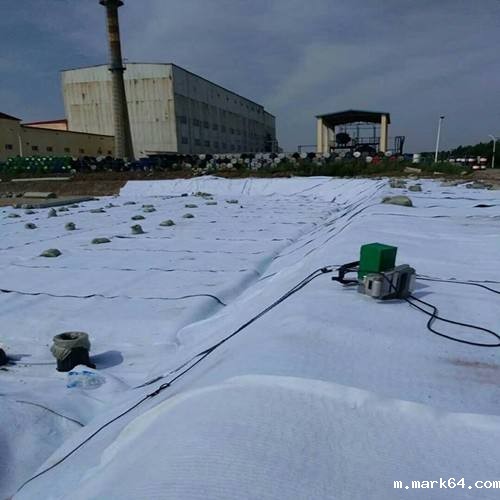 体育意甲国际米兰在总干渠在渠首尾两侧布设防渗效果