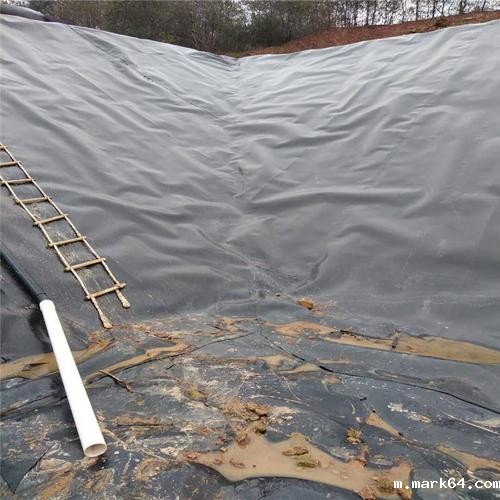 复合膜围堰形式及防渗结构设计可节省工程投资