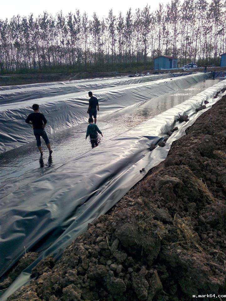 HDPE防渗膜铺设过程中应该注意的事项