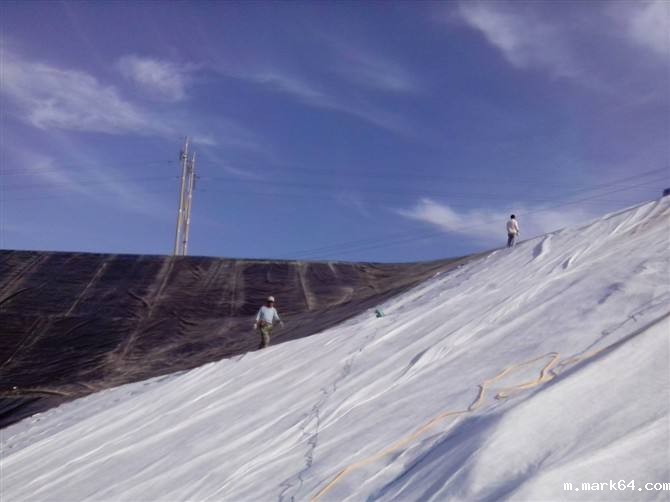 体育意甲国际米兰施工进度计划编制原则