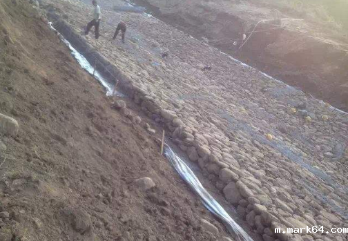 防水体育意甲国际米兰在滑坡体治理方案