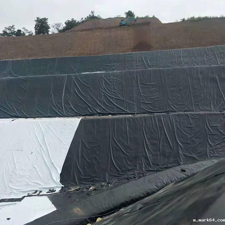 从三个方面考虑体育意甲国际米兰在软体沼气的应用 