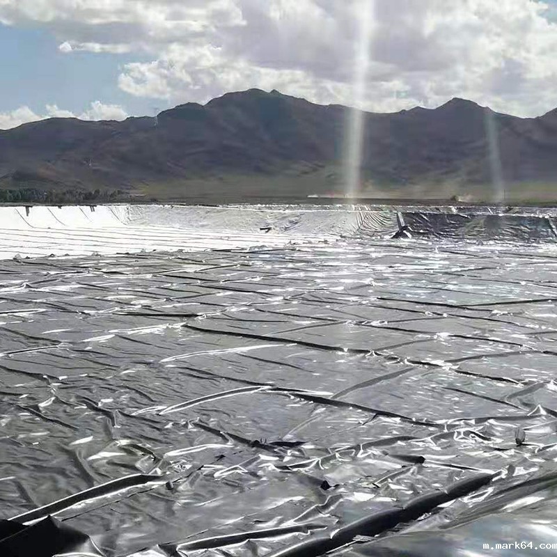 大型水库库底防渗材料的选择及型式