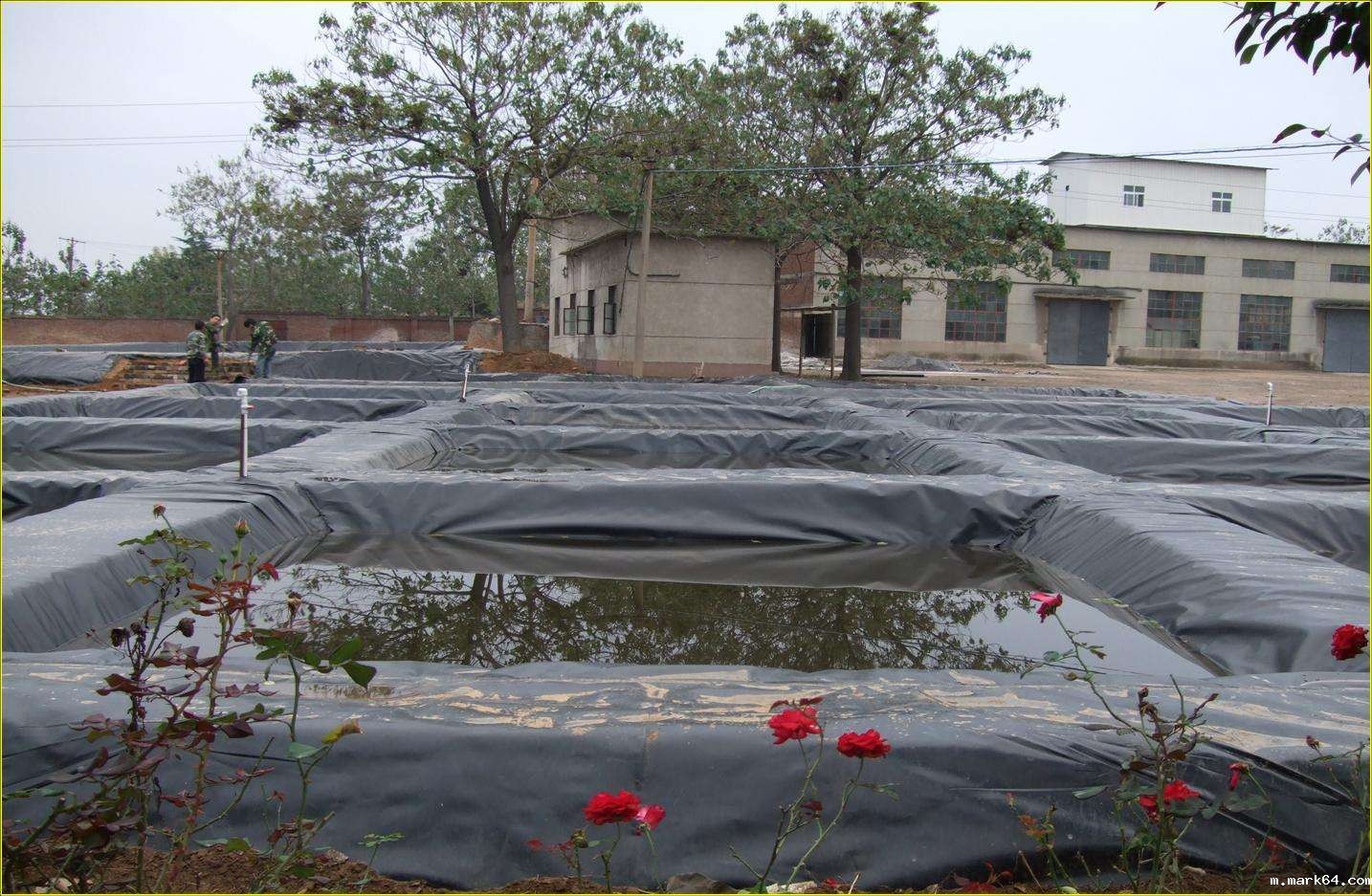 蓄水池蓄水后体育意甲国际米兰破坏的主要原因