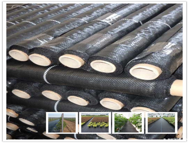 覆盖防草布有防草和节本省工的作用