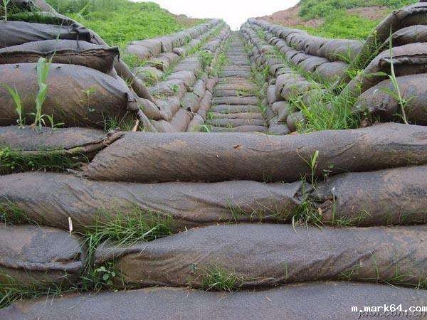 生态袋植草护坡在江安河迎水坡绿化施工中的应用
