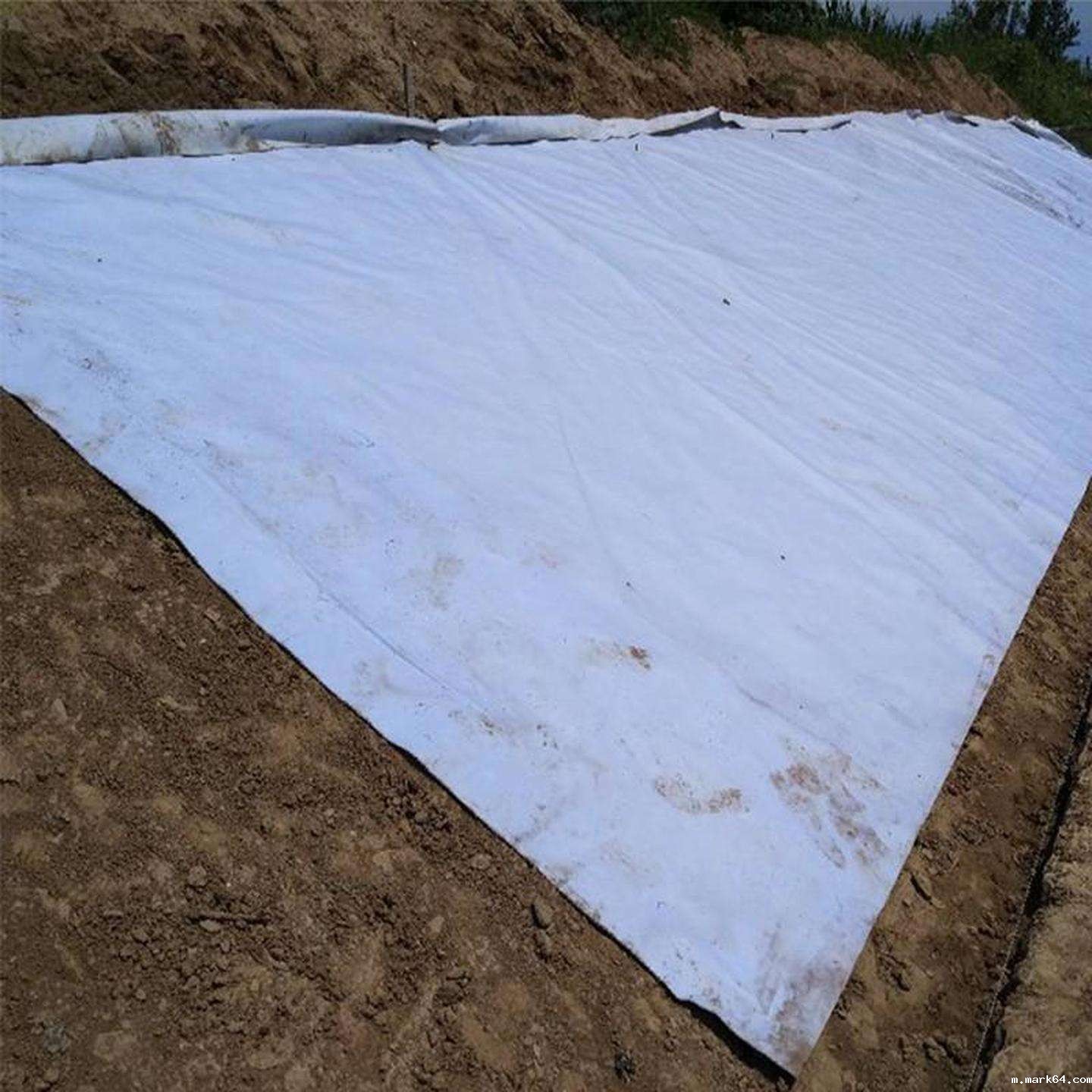 体育意甲国际米兰应力变形模拟也有了一定的研究成果