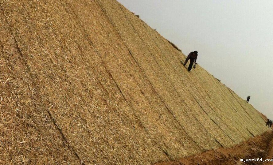 timg (3).jpg timg (3).jpg