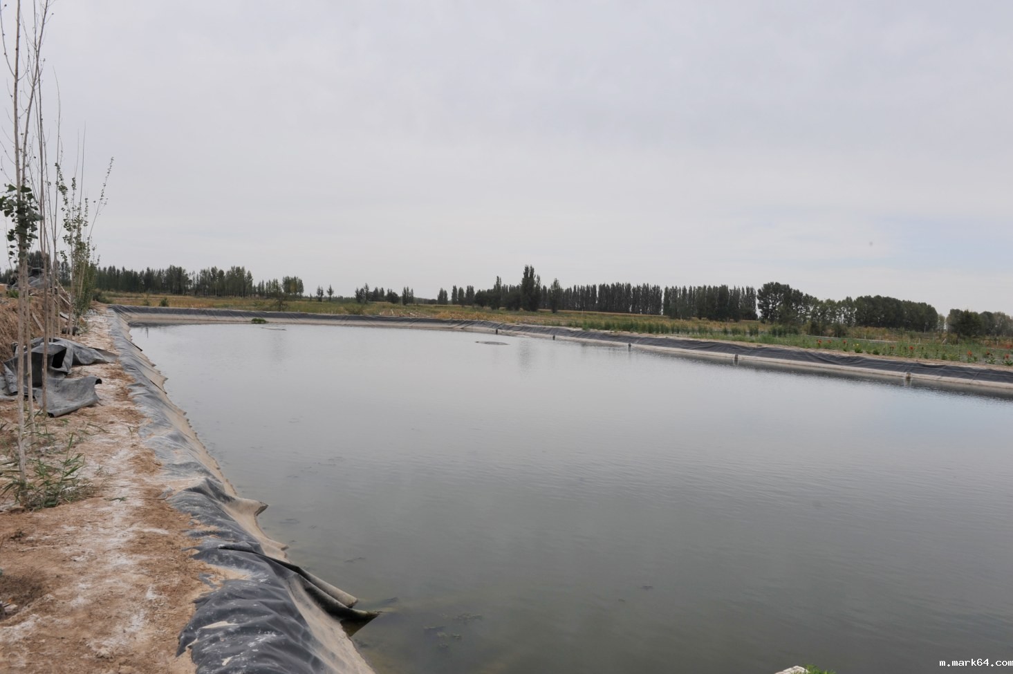 港口航道护岸工程中常见的软基处理施工工艺