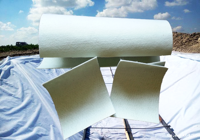 复合型体育意甲国际米兰在水利工程中的应用及铺设注意事项