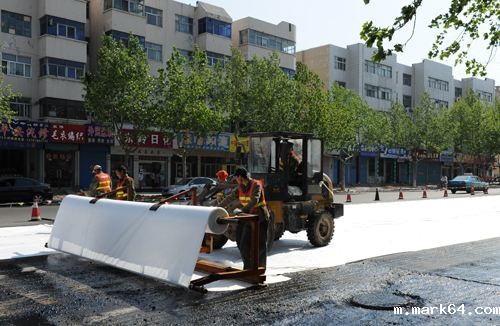 体育意甲国际米兰缺陷对土石坝渗流影响及安全性评价